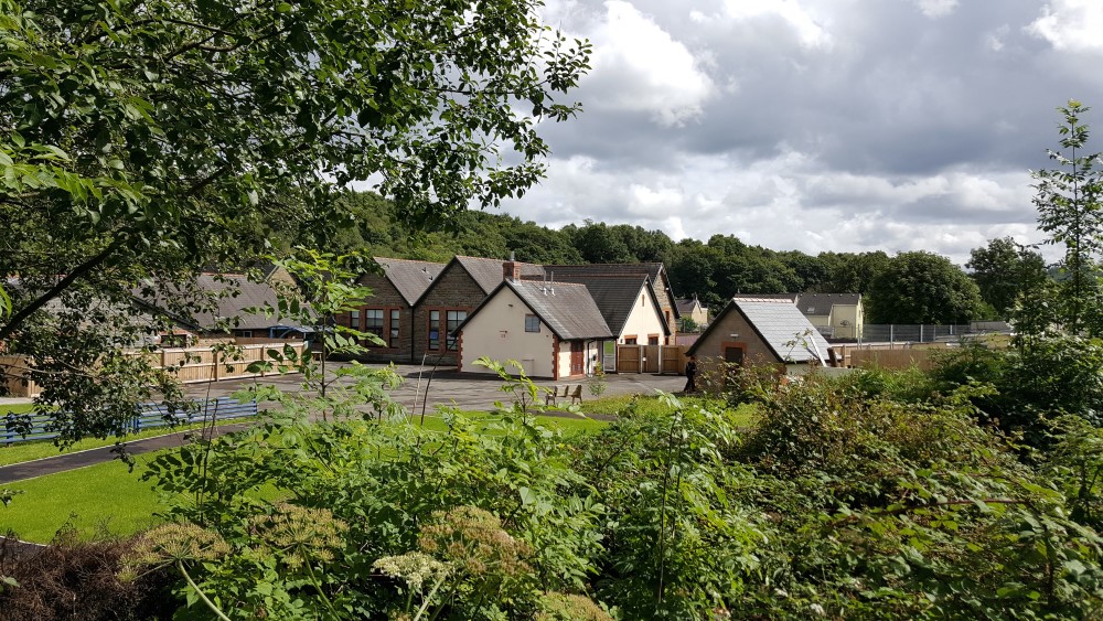 Yr Ysgol building and trees