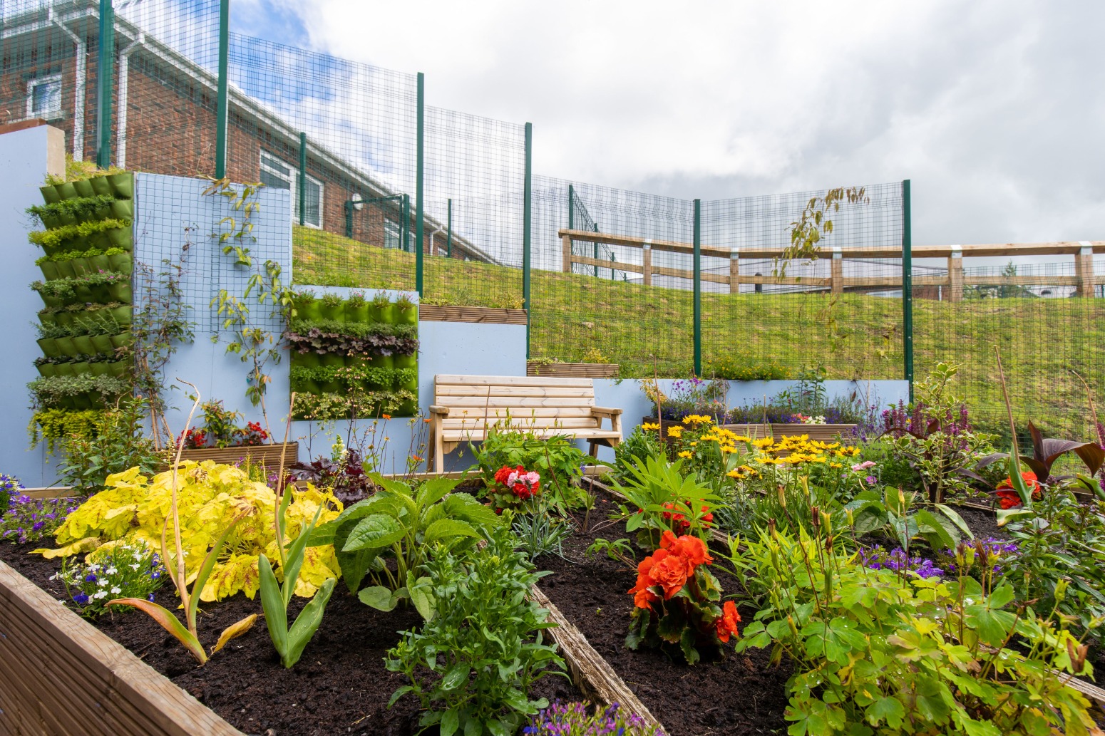 Raised garden beds